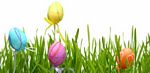 Immagini uova di Pasqua